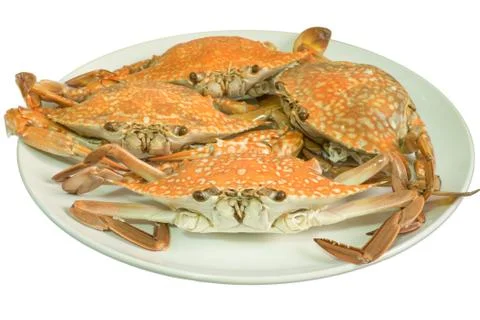 Streamed crab isolated on white background Stock Photos