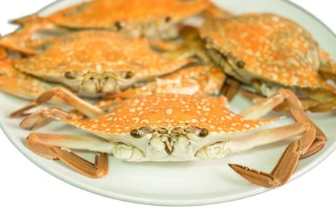 Streamed crab isolated on white background Stock Photos