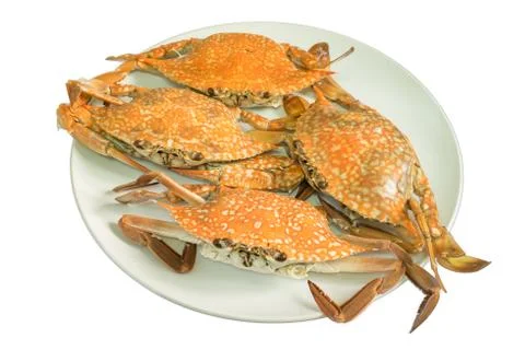 Streamed crab isolated on white background Stock Photos