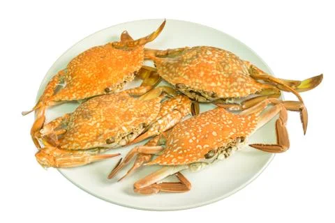 Streamed crab isolated on white background Stock Photos