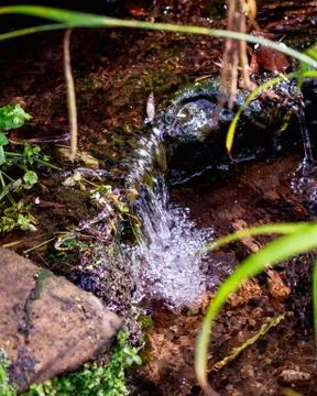 Streaming and waterfall Stock Photos
