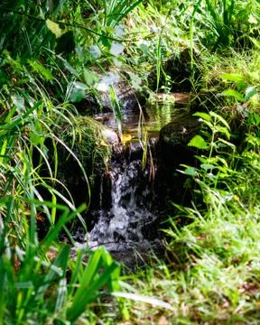 Streaming and waterfall Stock Photos