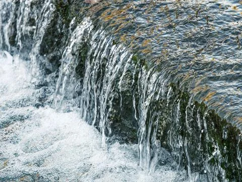 Streaming in the autumn forest Stock Photos