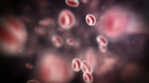 Streaming blood cells Stock Footage 25244250