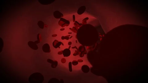 Streaming blood cells. Red bubbles of blood cells on a red vein background Stock Footage 112674659