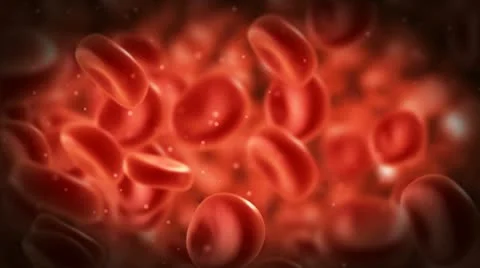 Streaming blood cells in vein Stock Footage