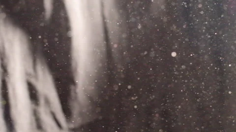 Streaming Dust Particles Stock Footage 148389921