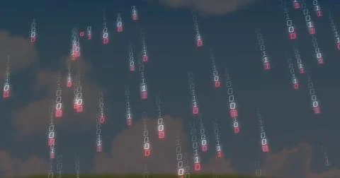 Streaming glowing binary digits 0 and 1 falling over grassy horizon at dusk, Stock Photos