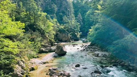 Streaming Mountain River with Crystal Cold Water. Orrido dello Slizza, Italy Video stock 329111292