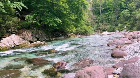 Streaming Mountain River with Crystal Cold Water. Orrido dello Slizza, Italy Video stock 329111331