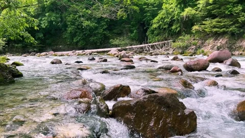 Streaming Mountain River with Crystal Cold Water. Orrido dello Slizza, Italy Stock Footage 338135784