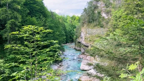 Streaming Mountain River with Crystal Cold Water. Orrido dello Slizza, Italy Stock Footage 338135915