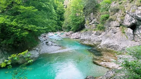 Streaming Mountain River with Crystal Cold Water. Orrido dello Slizza, Italy Stock Footage 338136165