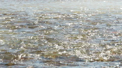 Streaming river close-up Stock Footage 213496045