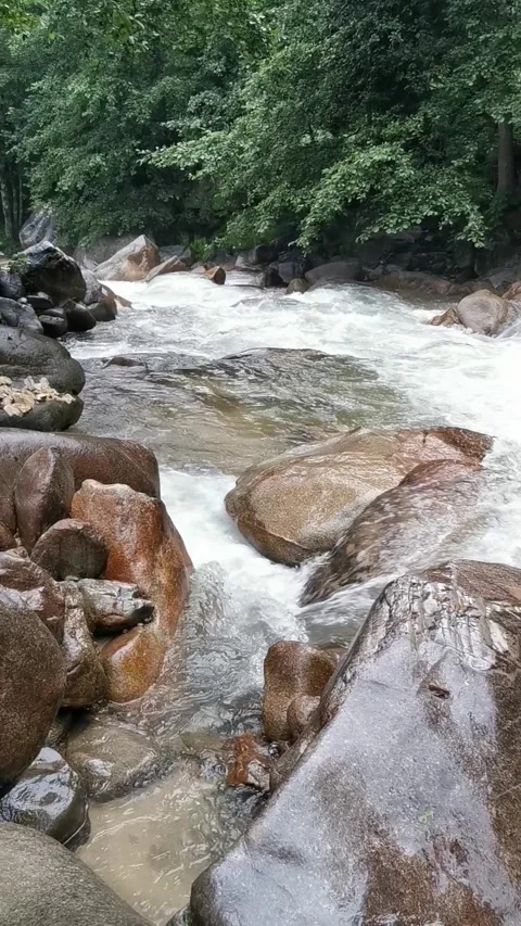 Streaming River Stock Footage 147512648