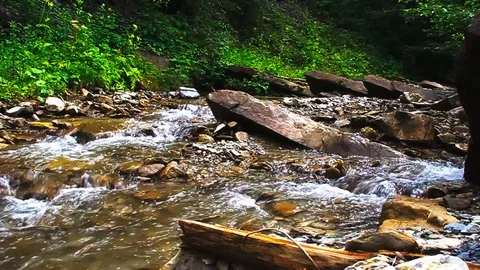 Streaming river in mountains. Calm stream of crystal clear water in river Stock Footage 122201203