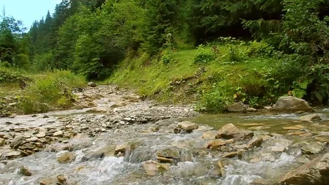 Streaming river in mountains. Calm stream of crystal clear water in river Stock Footage 125338385