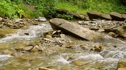 Streaming river in mountains. Calm stream of crystal clear water in river Stock Footage 125338417