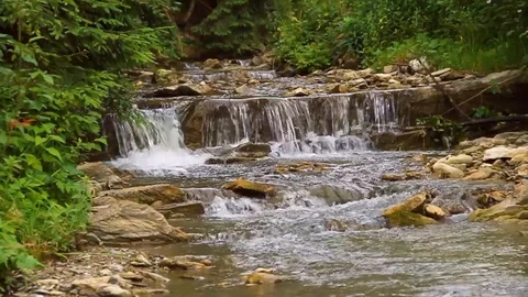 Streaming river in mountains. Calm stream of crystal clear water in river Stock Footage 125339415