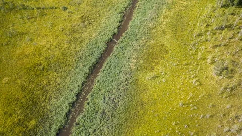 Streaming river through meadow cinemagraph Stock Footage 100753625