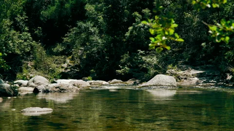 Streaming water Video stock 147217135