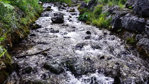 Streaming water in the forest, slow motion, 240 fps to 30 fps Stock Footage 159991466