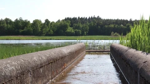 Streaming water at a small aqueduct. Stock Footage 250476611