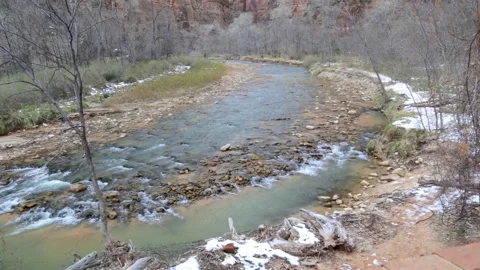 Streaming water of Virgin River a day of winter in Zion NP Stock Footage 239135360