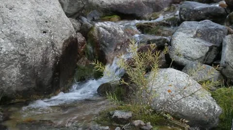 Streamlet among stones Video stock 11984317