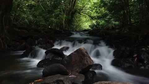 Streamlet flowing time lapse shot Stock Footage 83373205