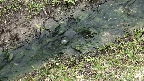 Streamlet of mineral water Video stock 73020499