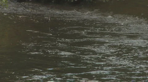 Streamlines of water on a river in curve Stock Footage 881264