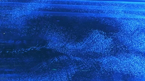 Streams of air bubbles, sparkling in the light, move in the blue water column Stock Footage 287957444