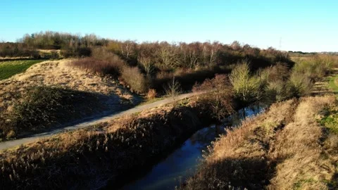 Streams and pathways landscape Stock Footage 302841022