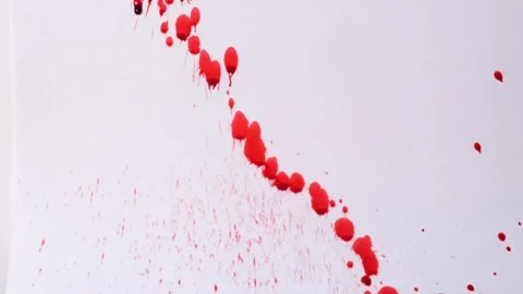 Streams and splashes of red paint or blood pour onto a white background. Concept Stock Footage 257137923