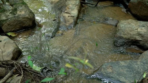 Streams and water resources in forests. Stock Footage 127208947