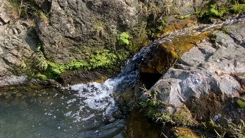 Streams Stock Footage 128478266