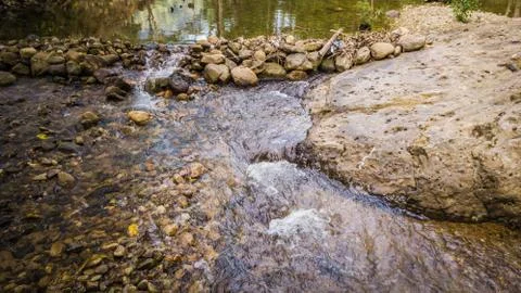 Streams in the forest Stock Photos