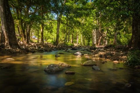 Streams in the forest Stock Photos