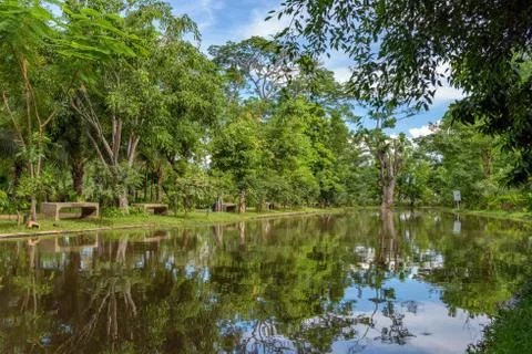 Streams in the garden Stock Photos