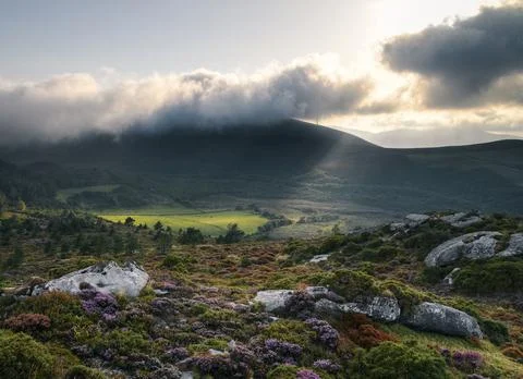 Streams of light pass through the clouds to illuminate a meadow Stock Photos
