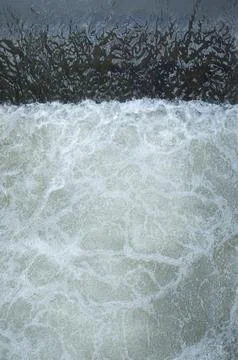 The streams make the bubbles look beautiful, Bubbles on the water, Surface .. Stock Photos