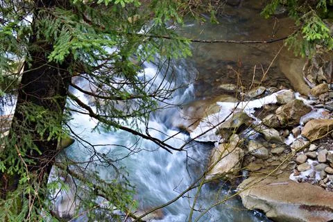 Streams of mountain river through green branches Stock Photos