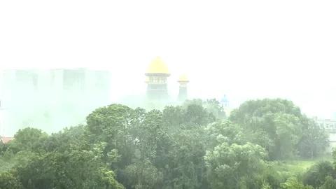 Streams of rainfall against a background of trees. Stock Footage 297061733