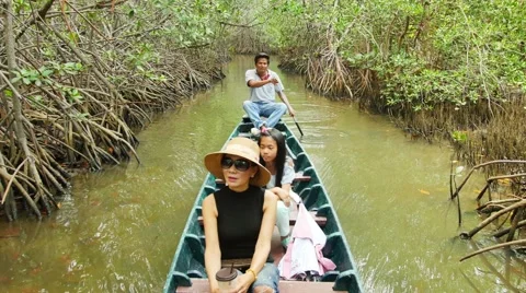 Streams in tropical forest Stock-Footage 62802591