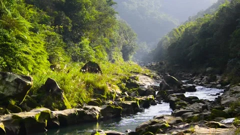 Streams in the valley. Oddly shaped rocks with some moss growing on them. Stock Footage 232245871
