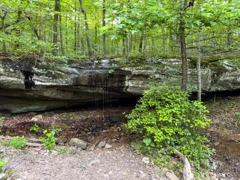 Streams of Water Fall Over Cliff in Mammoth Cave Fotos Stock