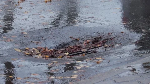 Streams of water flow from the road into a storm drain with dry leaves during Stock Footage 311644781
