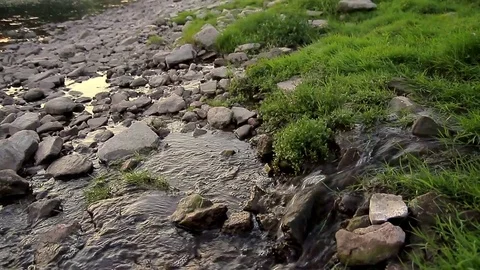Streams of water flowing to big river Stock Footage 70111253