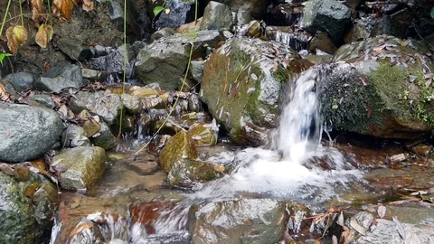 Streams of Water Vídeos de archivo 97273147